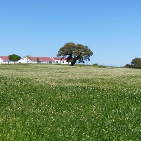 Herdade da Carapuça Portalegre Exterior foto